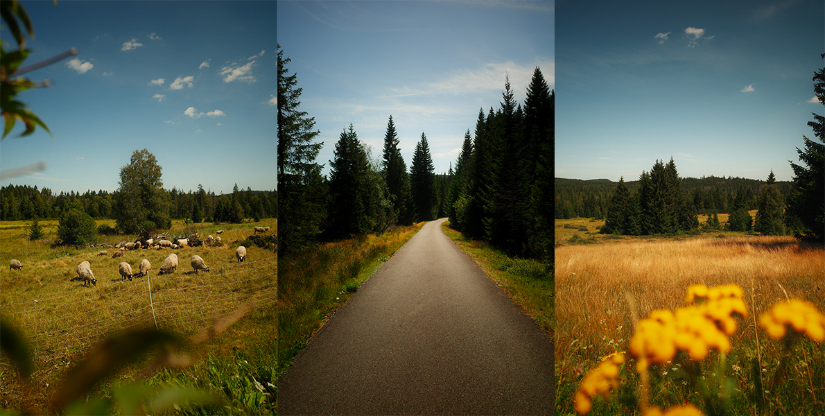 Šumava 2